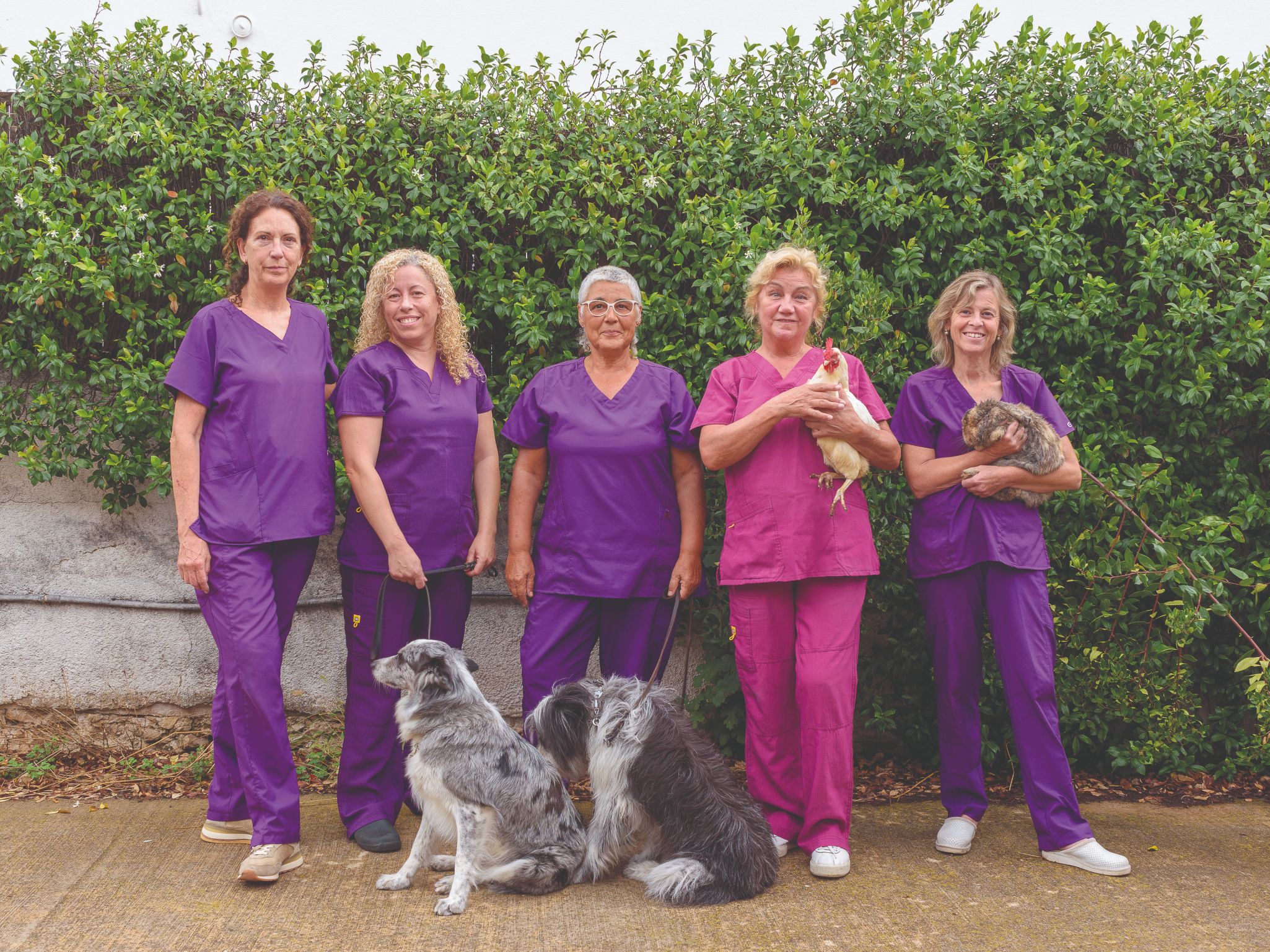 Veterinaries Ametlla del Vallès
